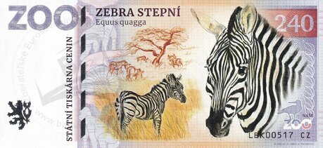 240 ZOO LIBEREC Zebra stepní